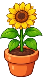 A mature sunflower in the Thinkly garden